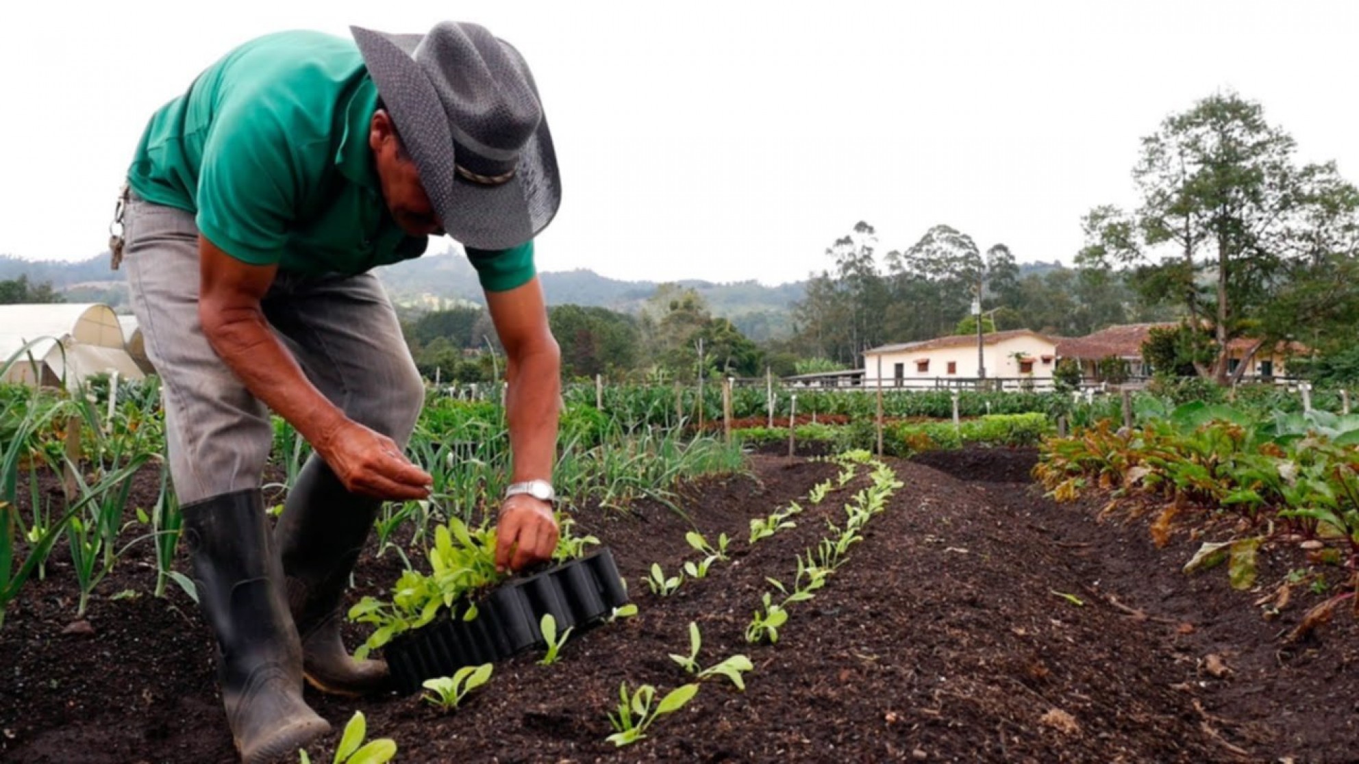 Mendoza busca continuar incrementando su producción orgánica